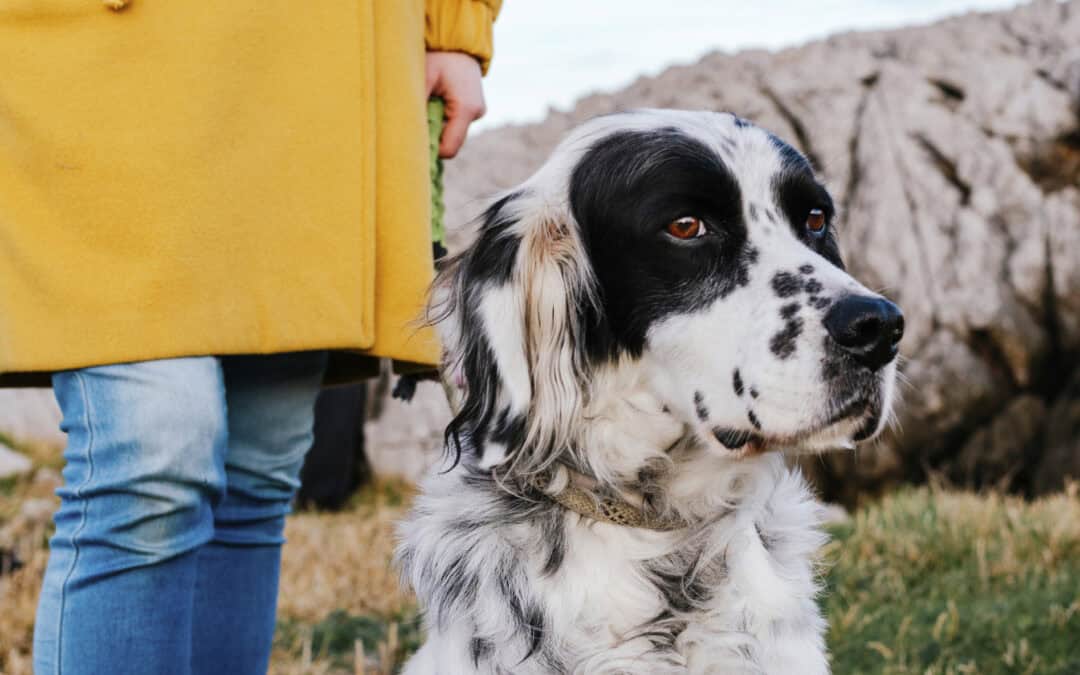 Funnel marketing and understanding the essentials for connecting with your Ideal client