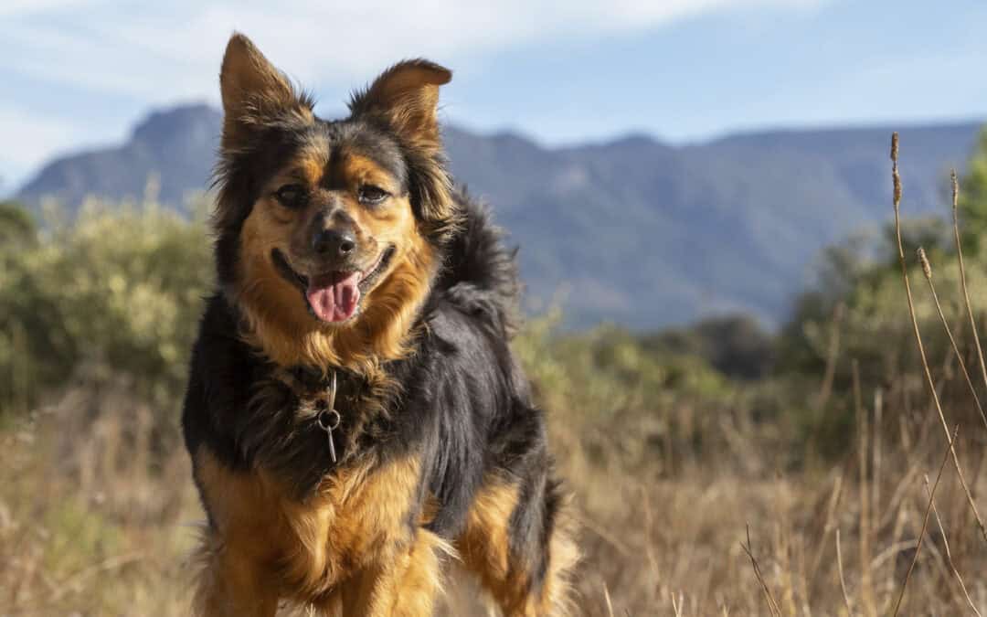 3 Common Reasons Why Your Google My Business Isn’t Working (And How To Fix Them)