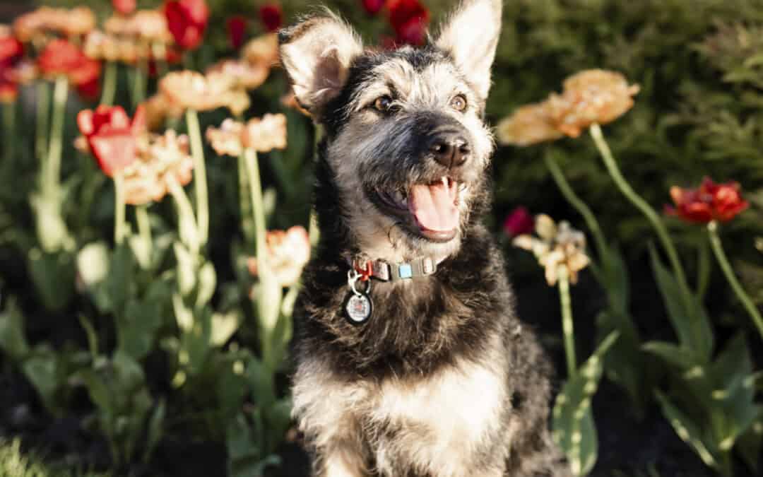 5 ways a WUF website amplifies your content marketing strategy