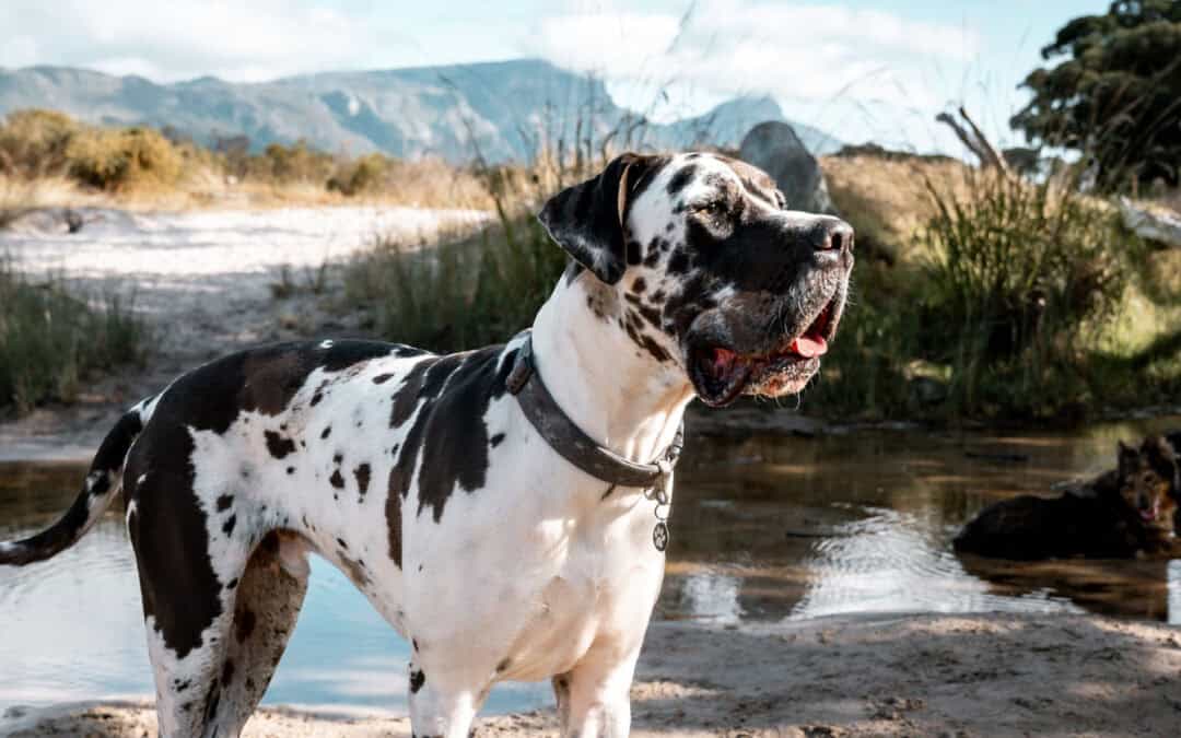 9 things to do when you change the topic of a service page.