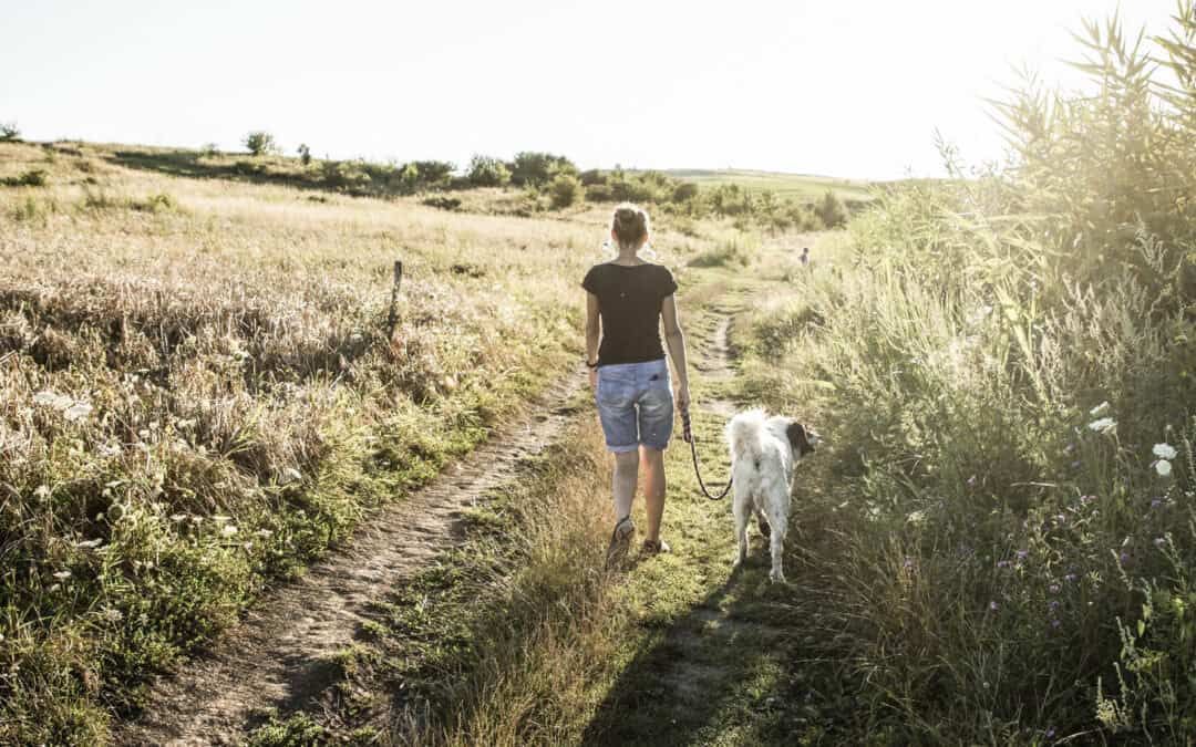 A WUF website truly showcases your business