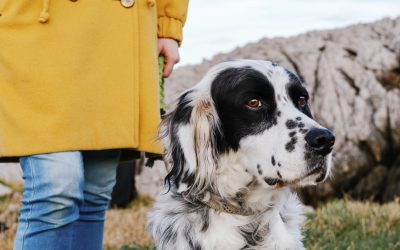 Funnel marketing and understanding the essentials for connecting with your Ideal client