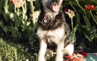 5 ways a WUF website amplifies your content marketing strategy
