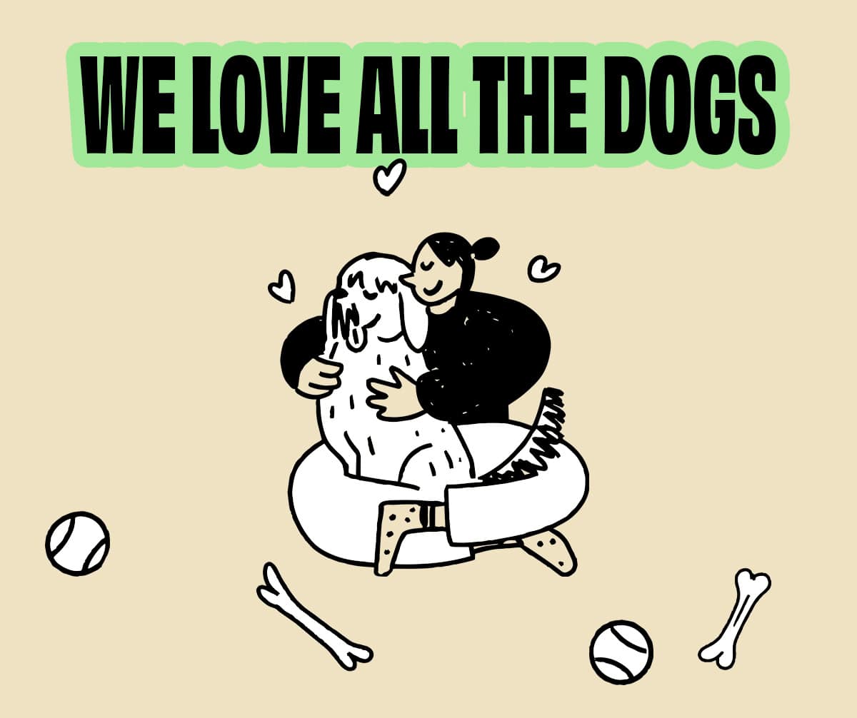 Branding for dog trainers A grid of six squares each containing a different color and inspirational phrase with their corresponding hex codes.