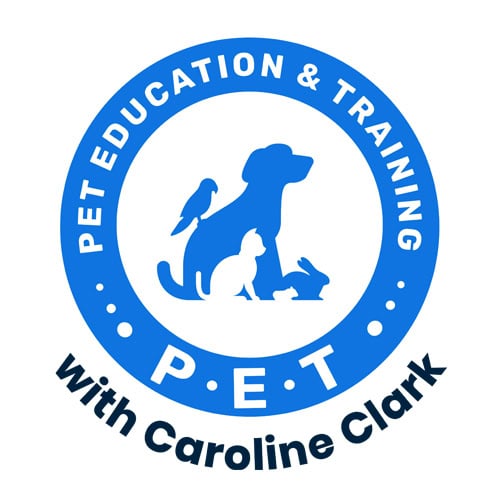 Logo of The Holistic Grooming Academy featuring a circular emblem with a paw print and the establishment year 2020.