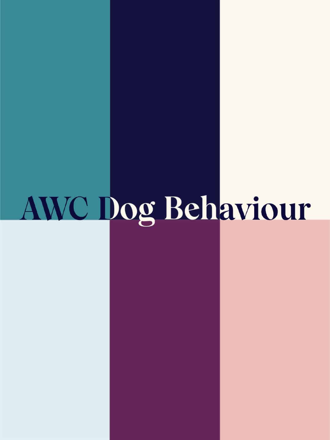 AWC 3 Imagery for premium pet business branding
