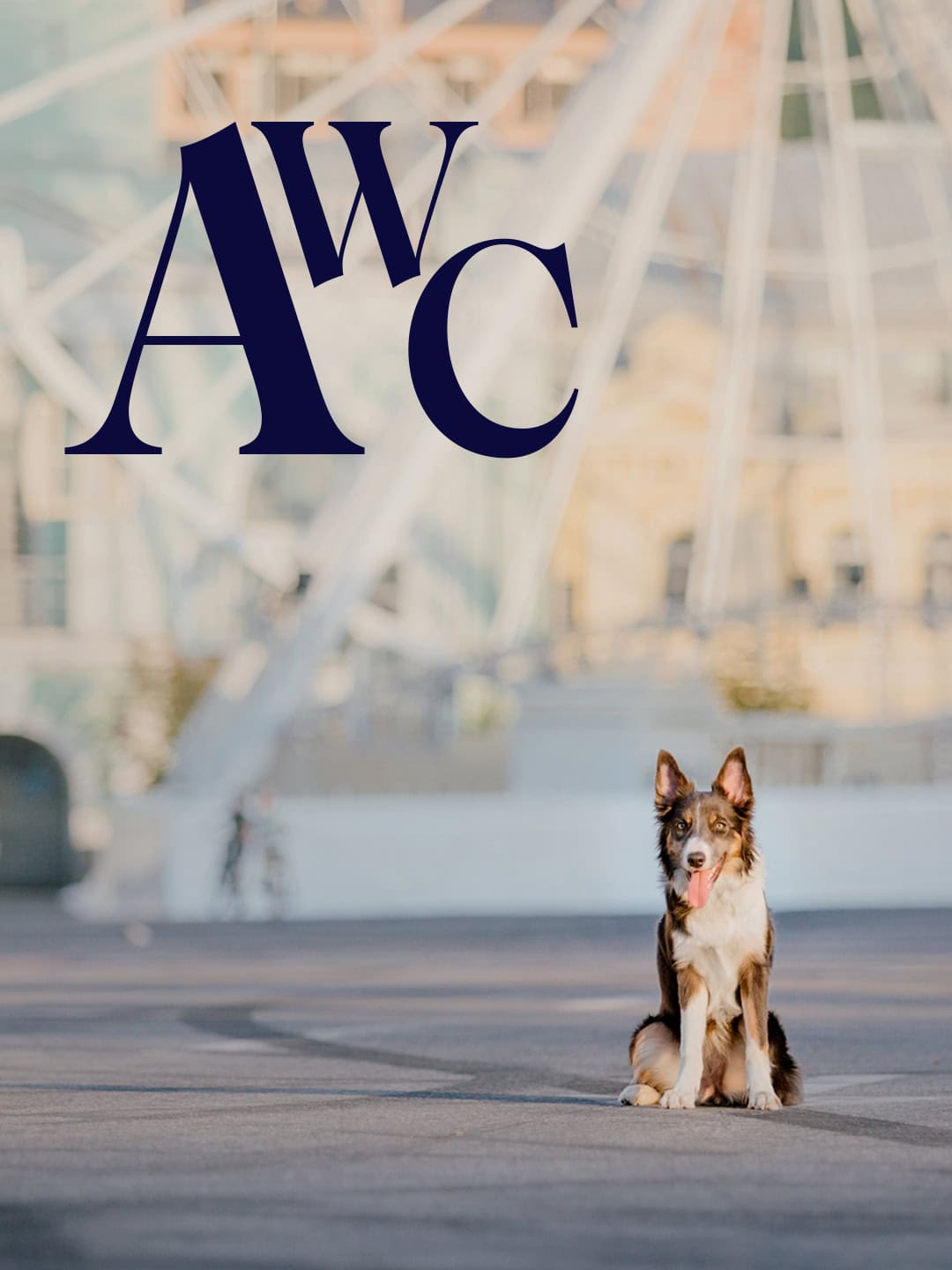 AWC 4 Illustrations for dog and pet business