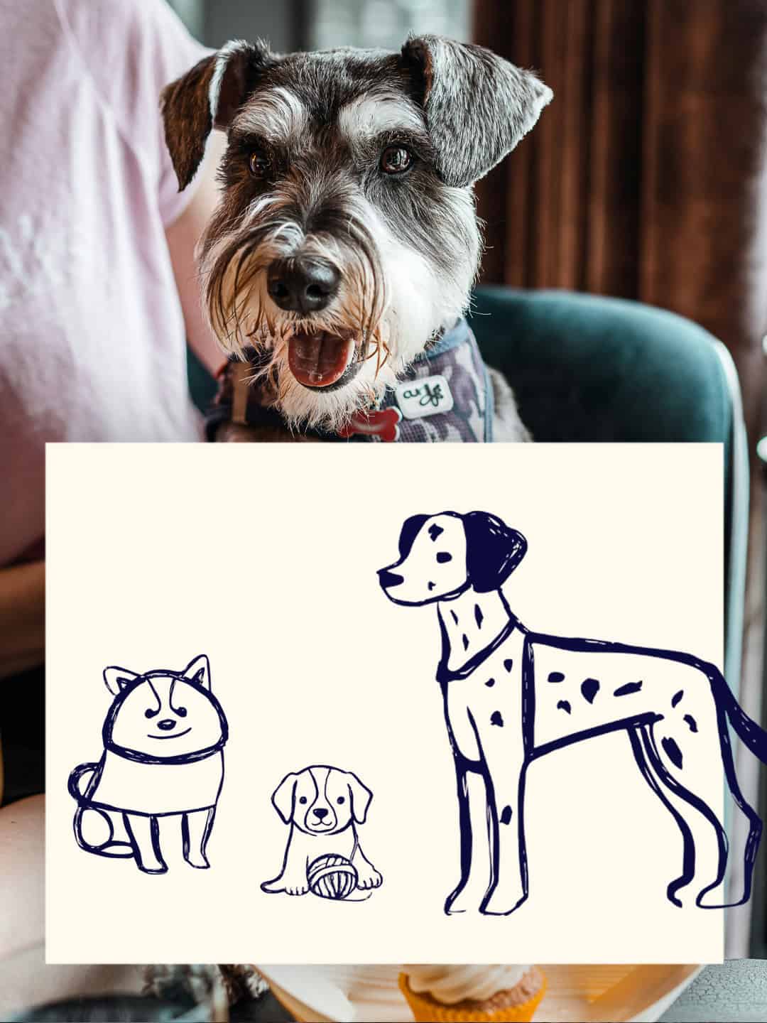AWC 7 Logo design for pet business