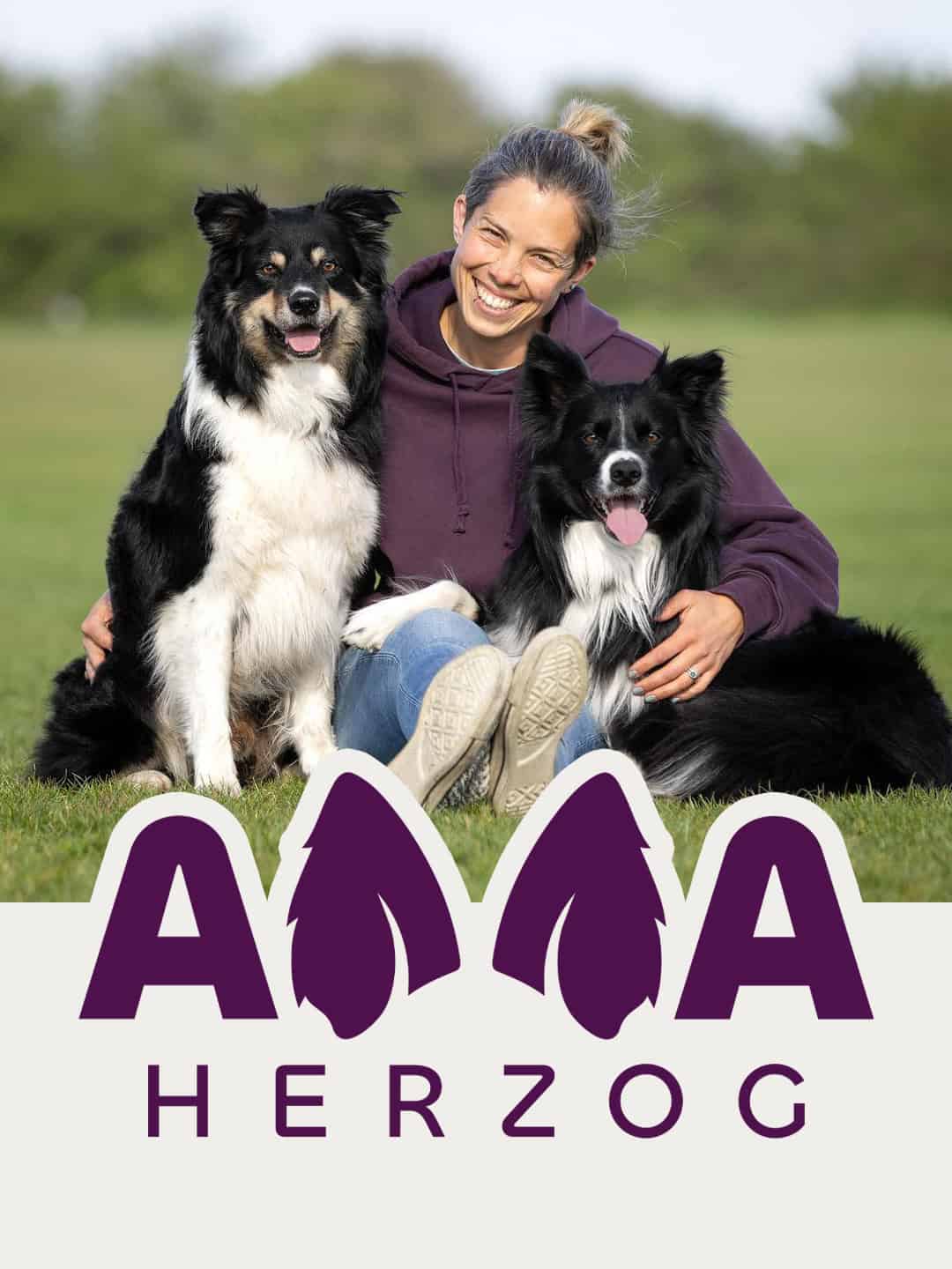 Anna Herzog dog pro brand A grid of six squares each containing a different color and inspirational phrase with their corresponding hex codes.