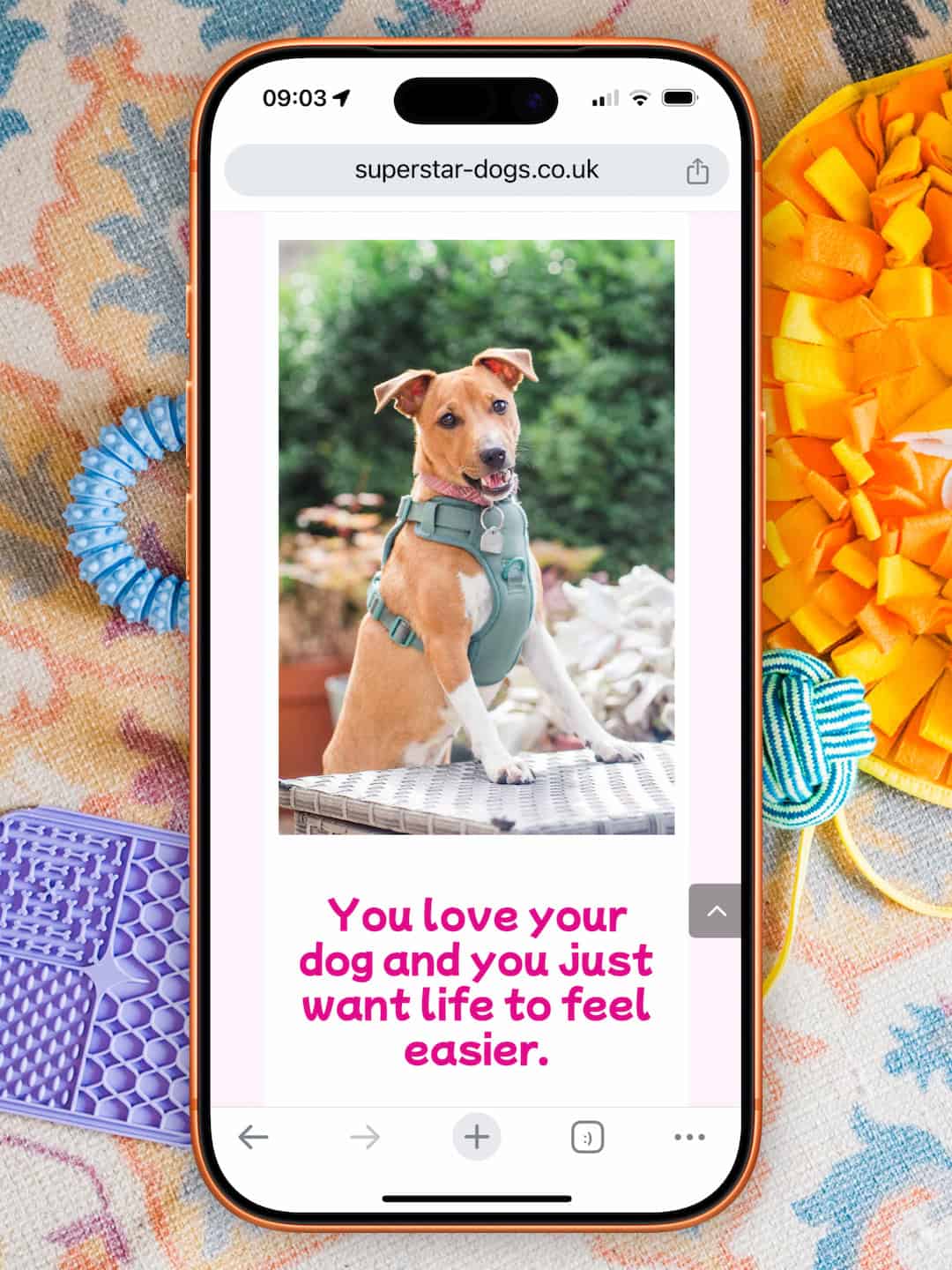 mobile optimised pet business website deisgn