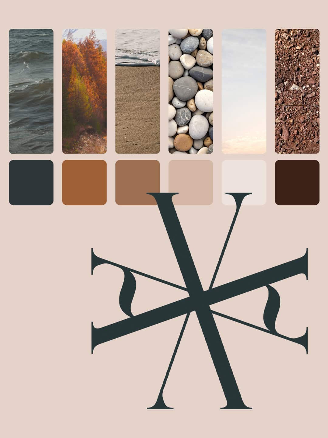 Colour palette for pet business brand