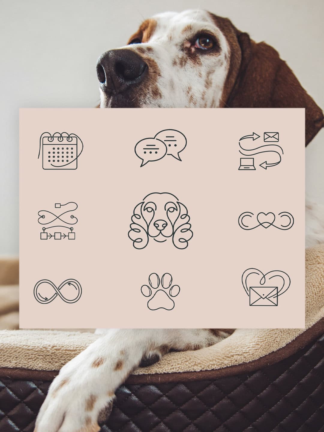 Illustrations for dog and pet business