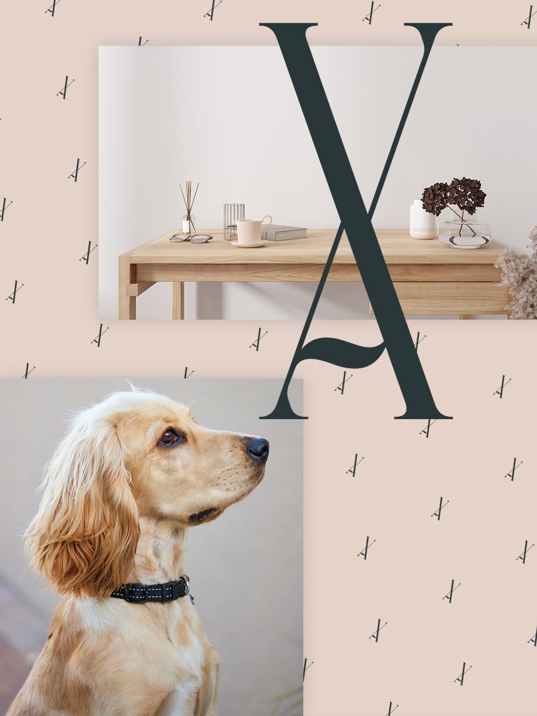 Logo design for pet business