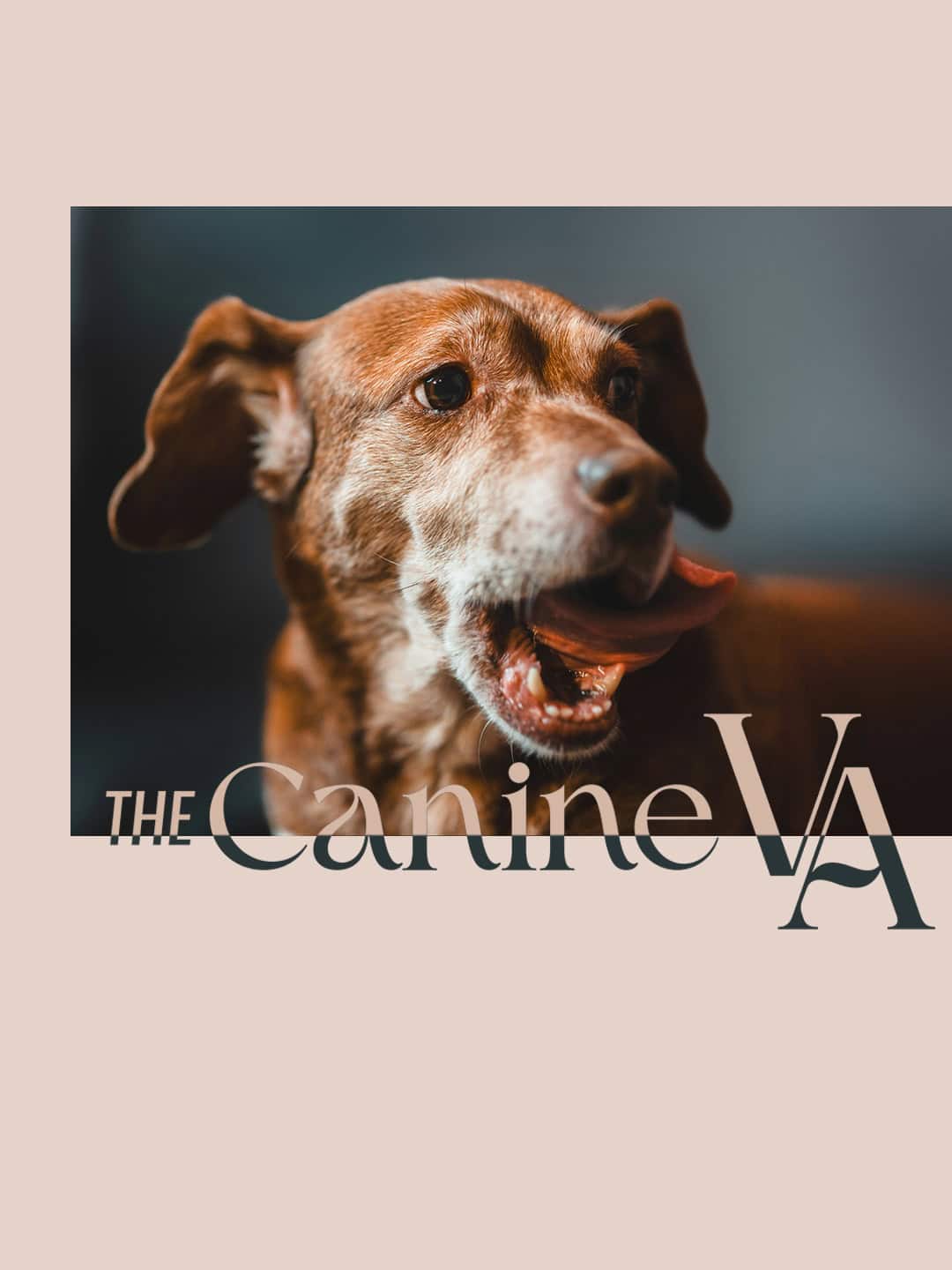 The Canine VA logo