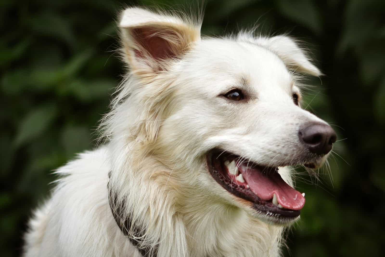 What is web design, really It's not what most people think