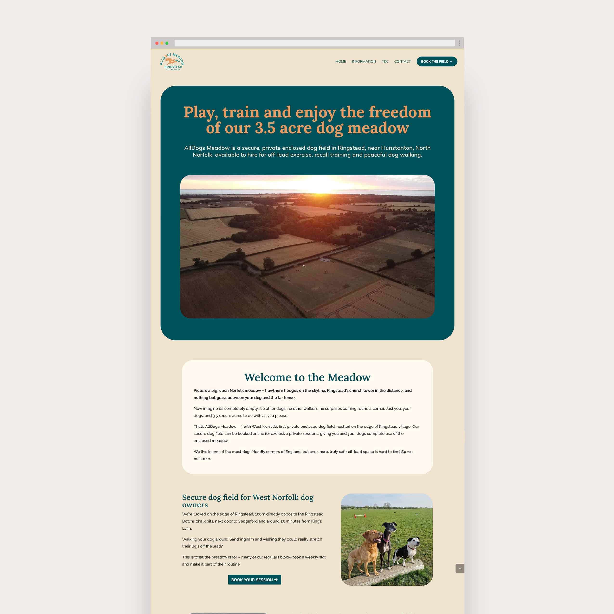 All Dogs Meadow Secure Dog Field website Paws in Harmony Dog Grooming website